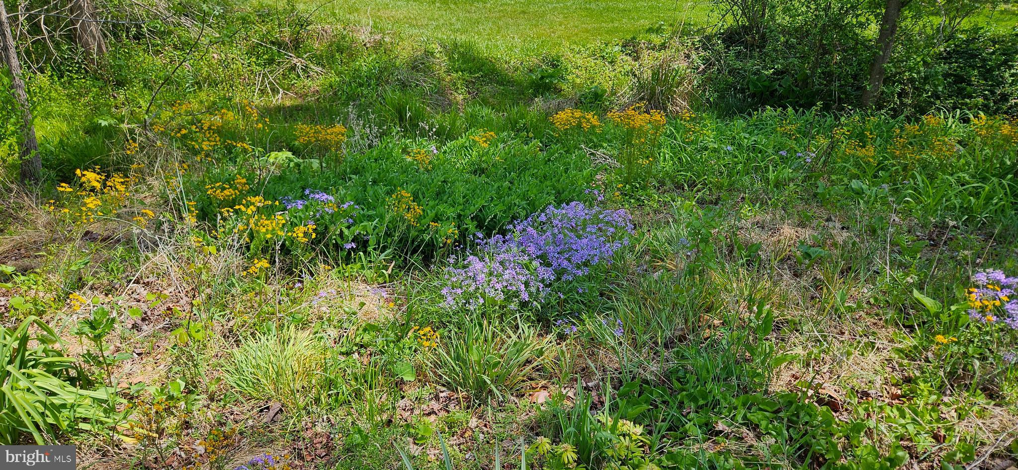 NETHERS - Residential