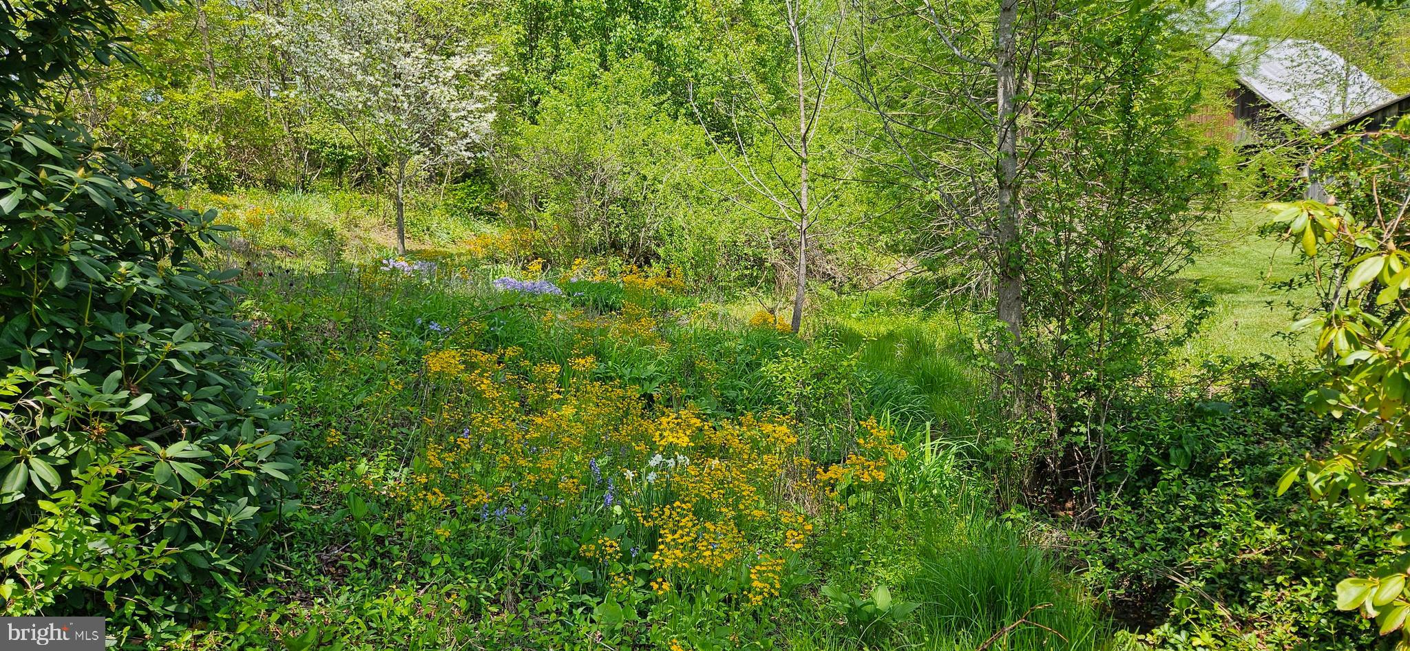 NETHERS - Residential