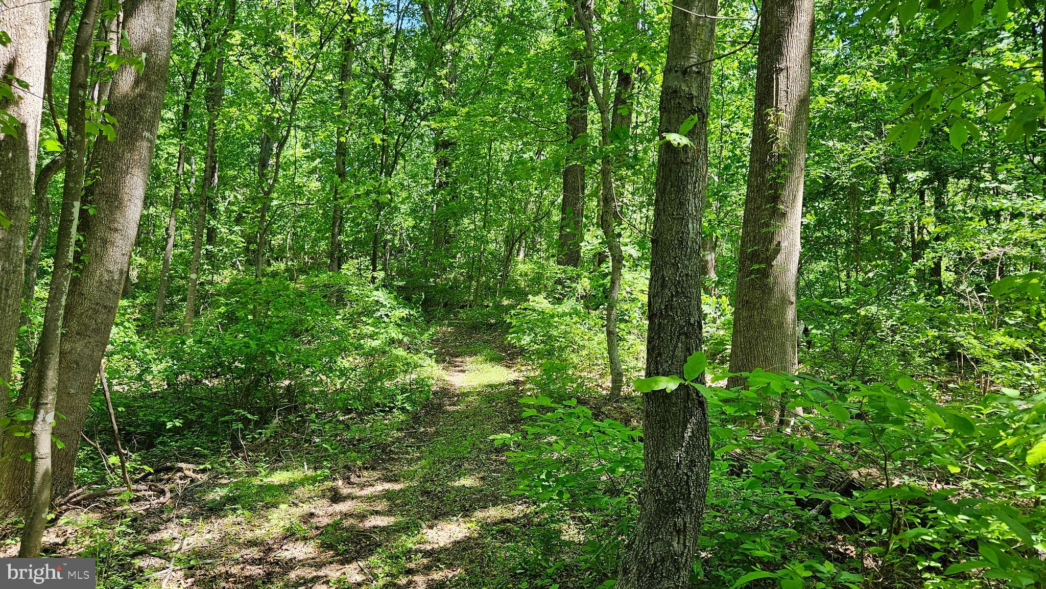 NETHERS - Residential