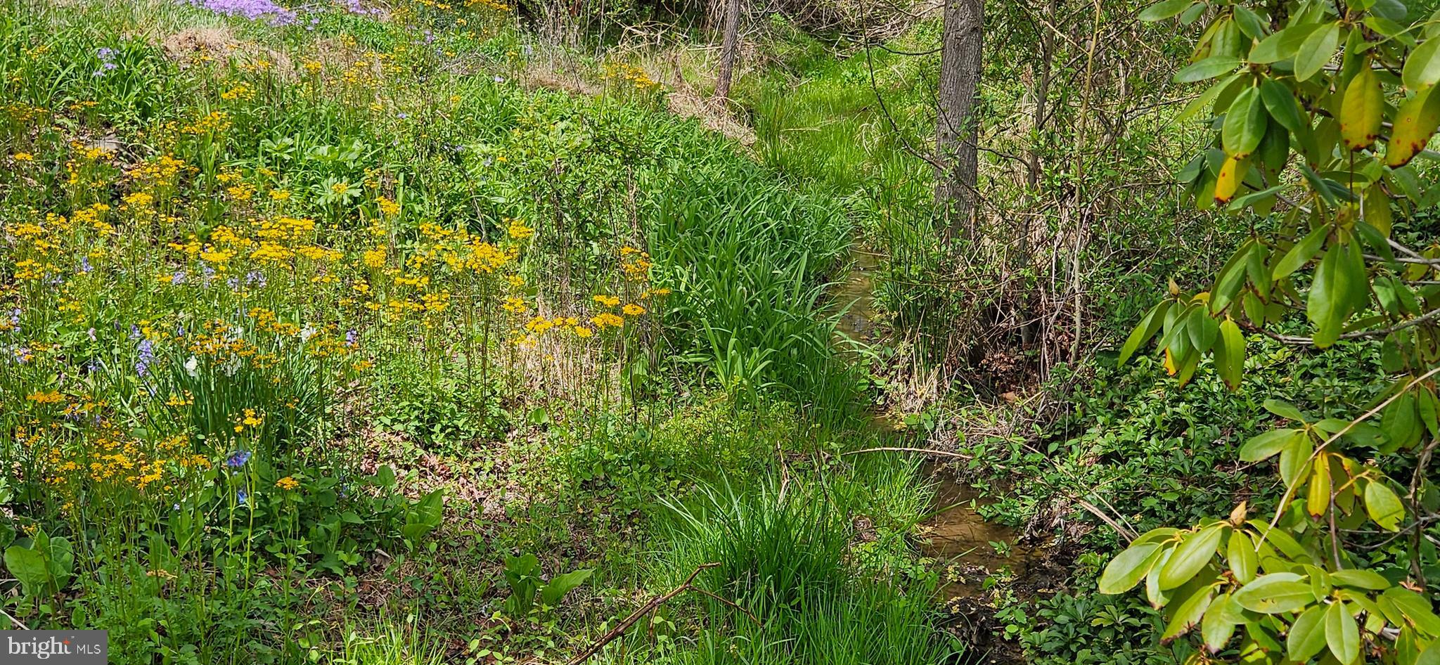 NETHERS - Residential