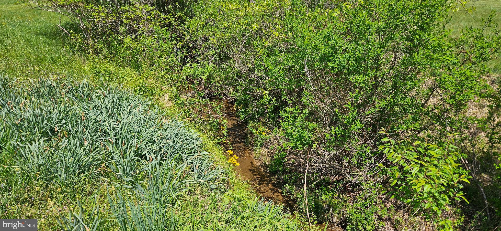 NETHERS - Residential