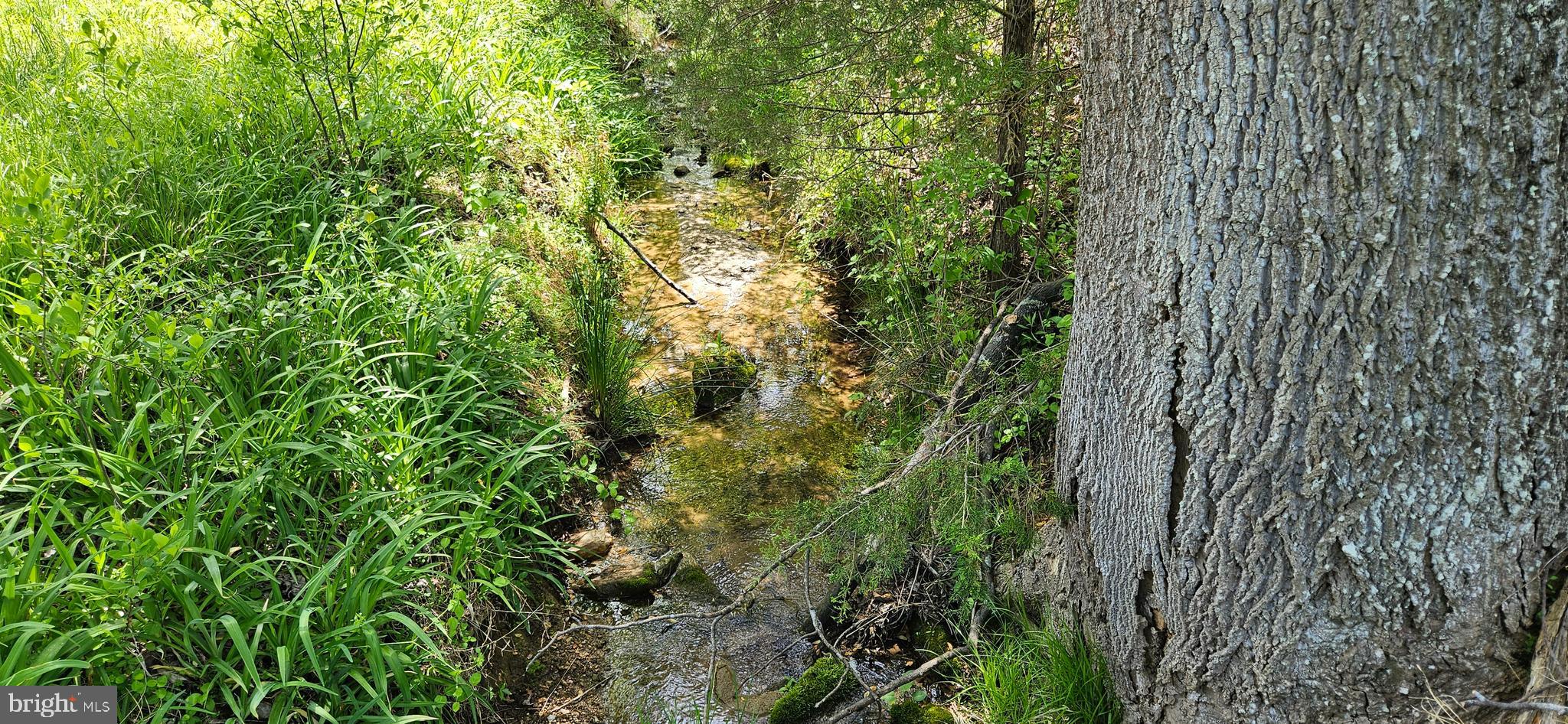 NETHERS - Residential