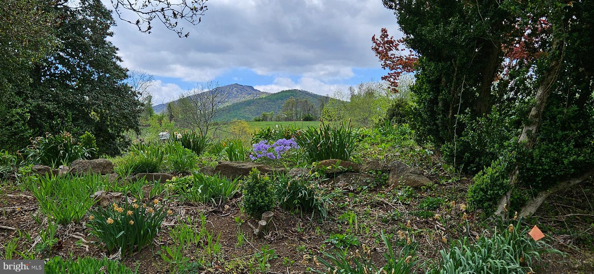 NETHERS - Residential