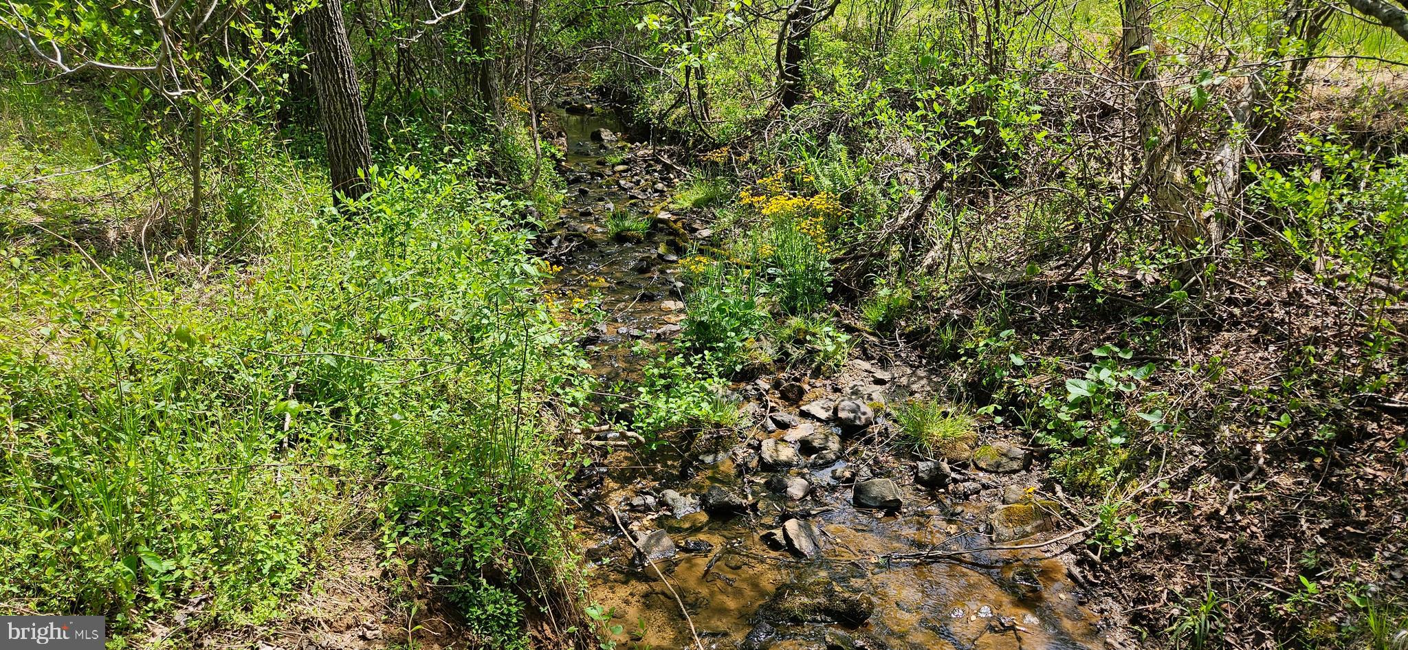 NETHERS - Residential