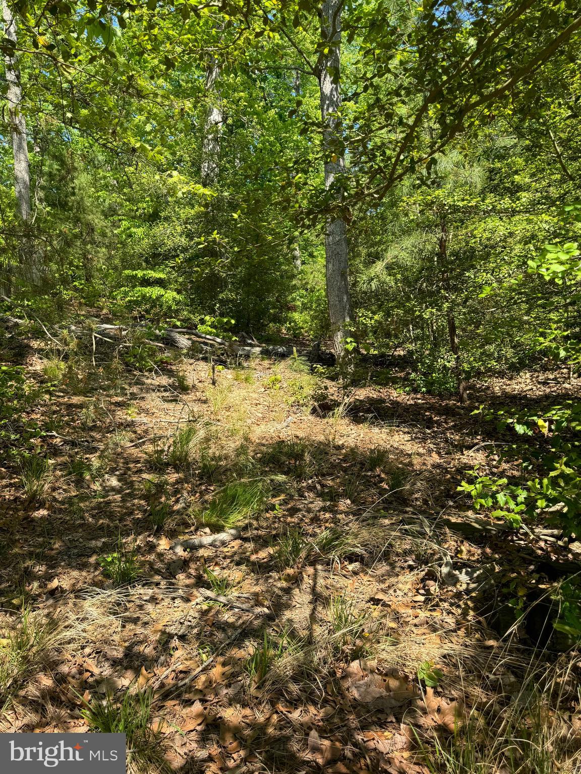 MARLBOROUGH POINT - Land