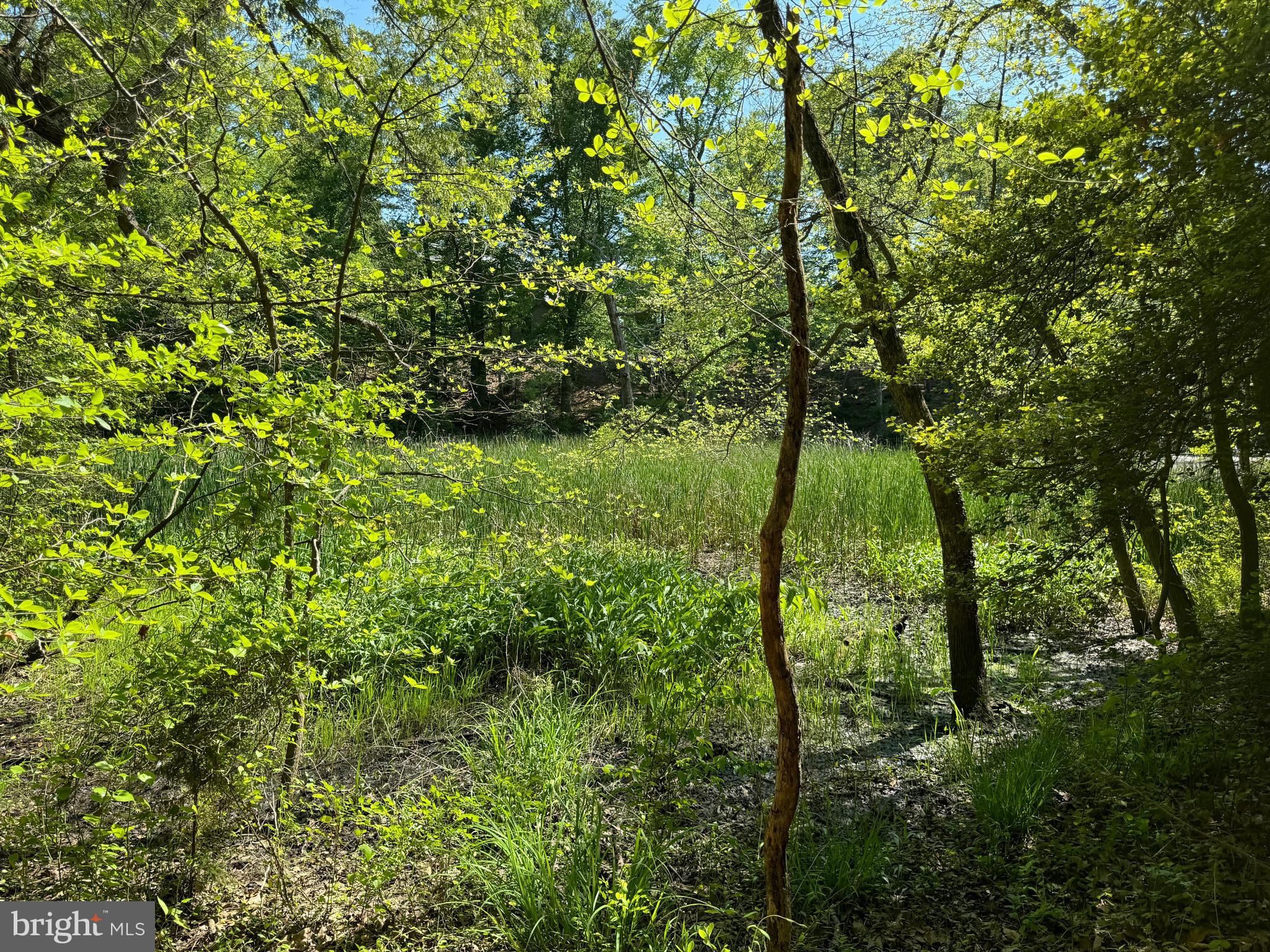 MARLBOROUGH POINT - Land