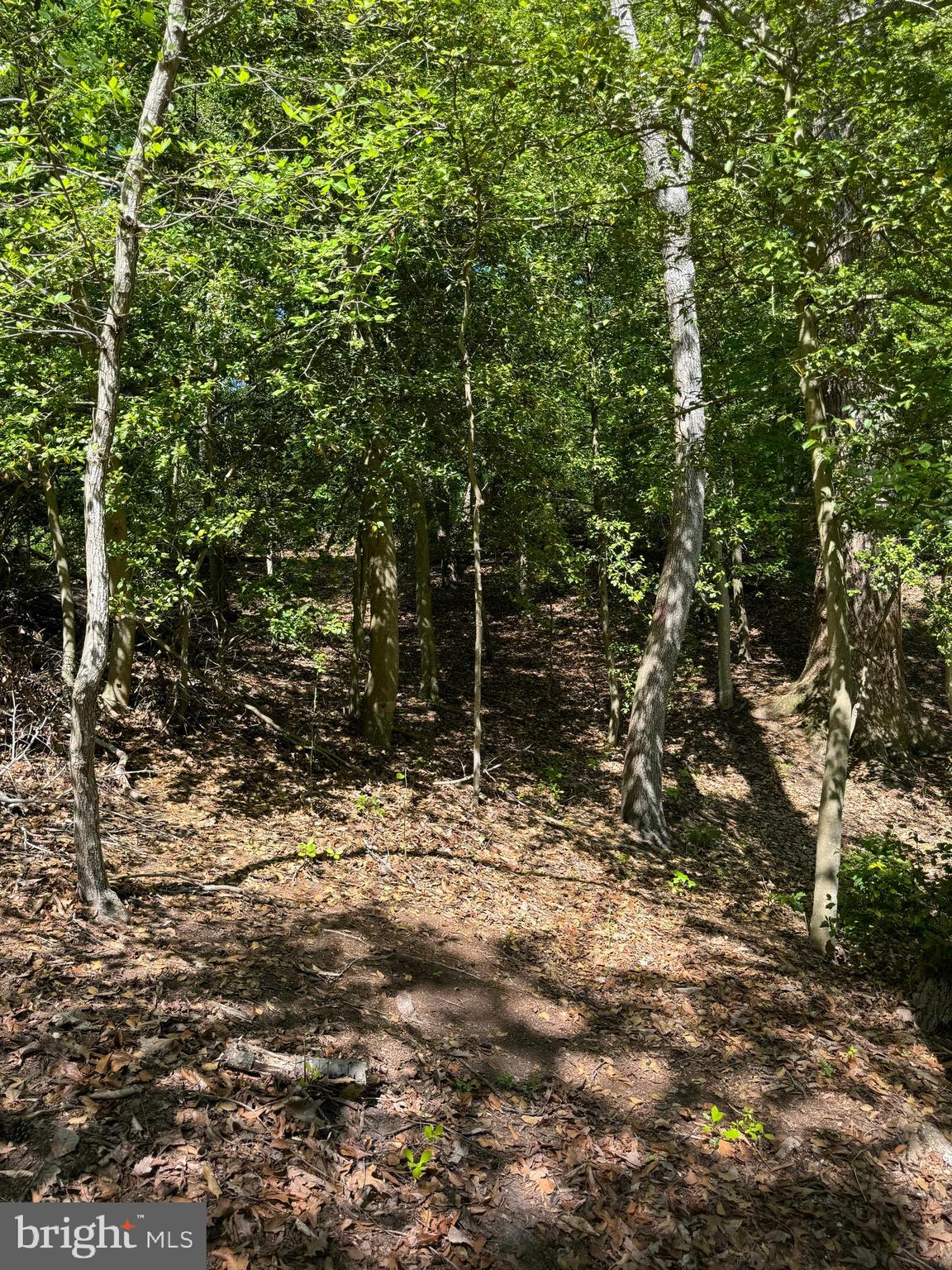 MARLBOROUGH POINT - Land