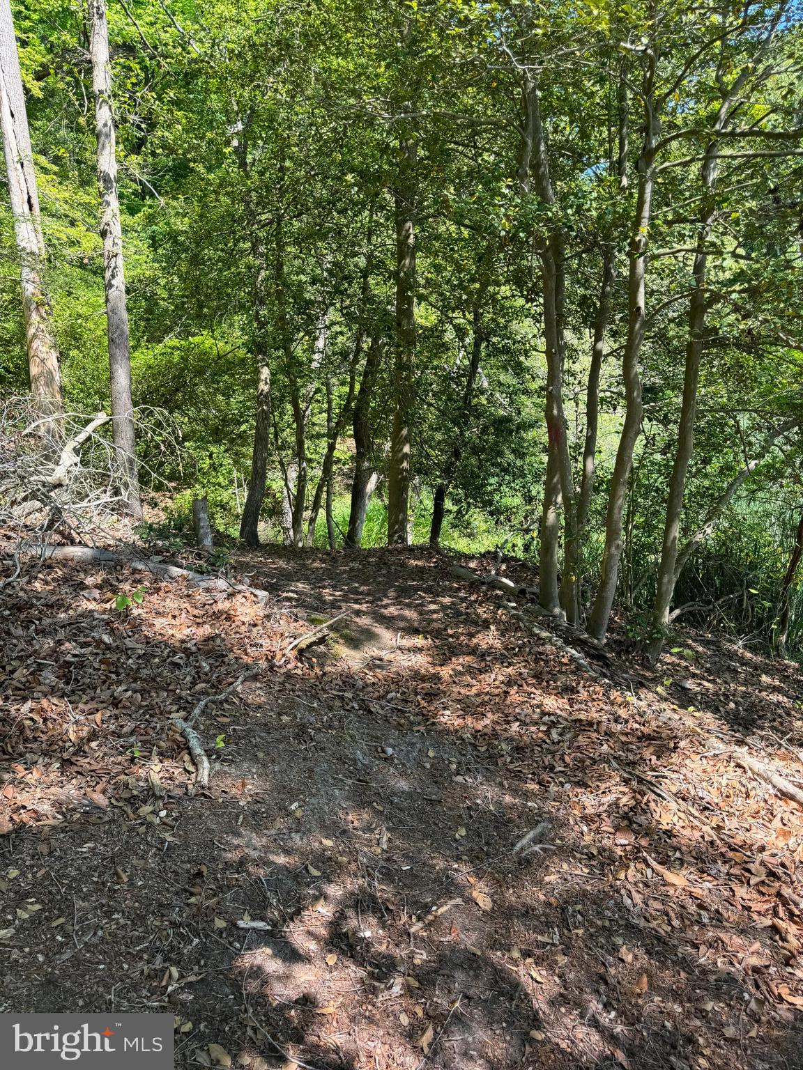 MARLBOROUGH POINT - Land