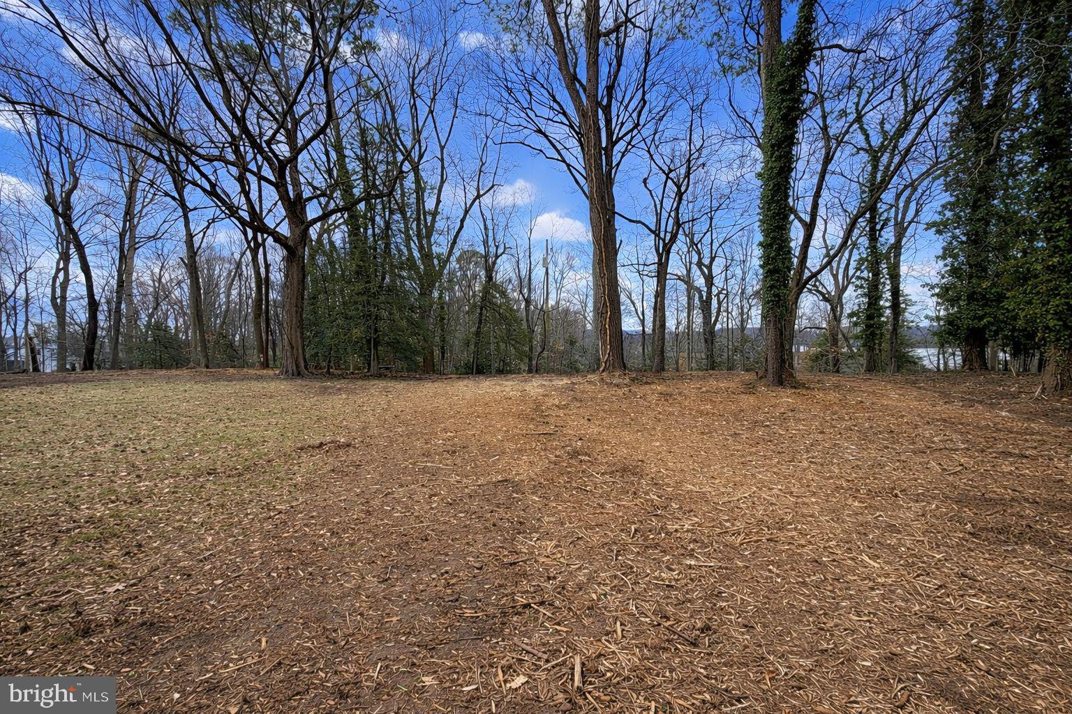 MARLBOROUGH POINT - Land