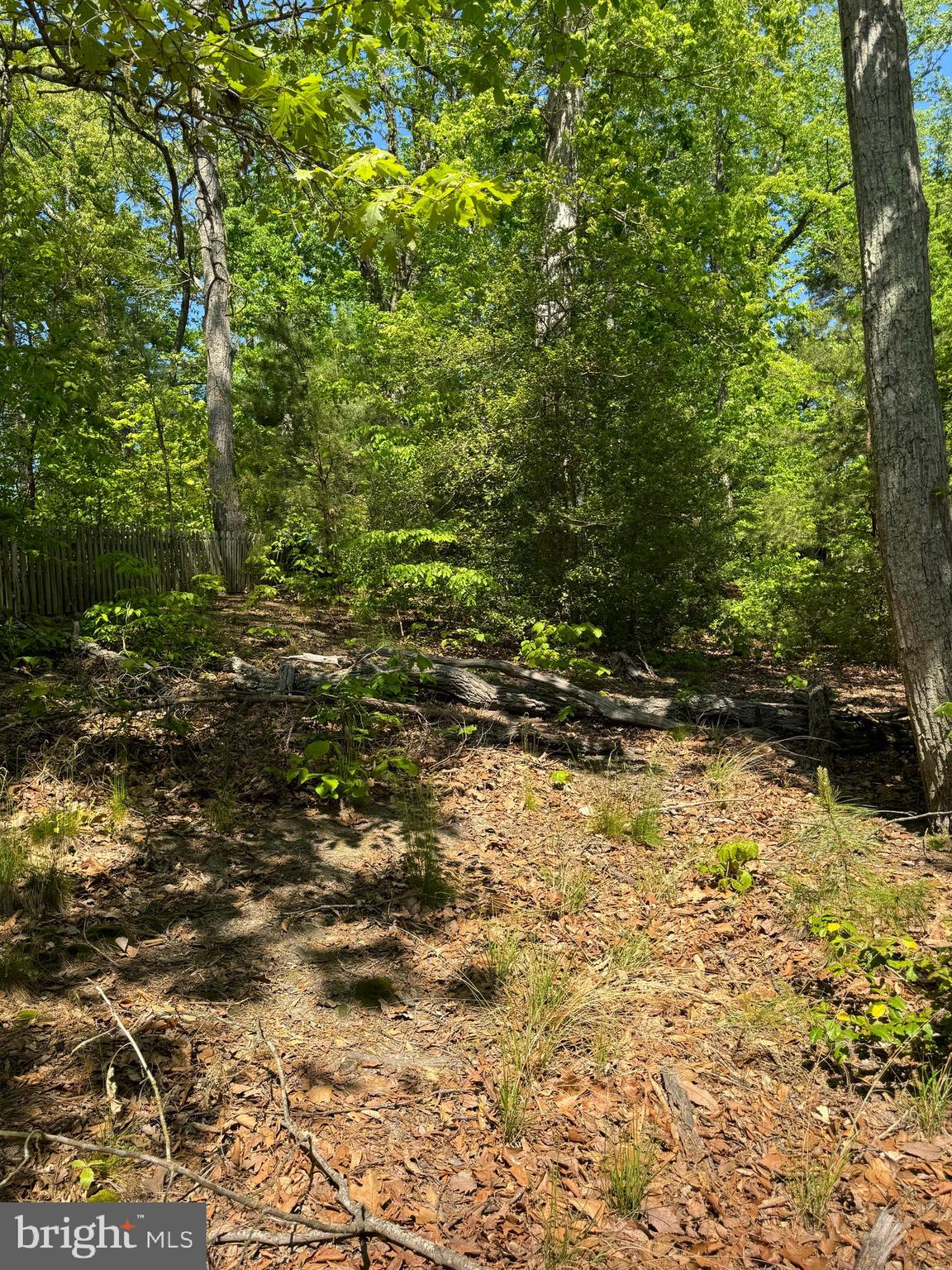 MARLBOROUGH POINT - Land