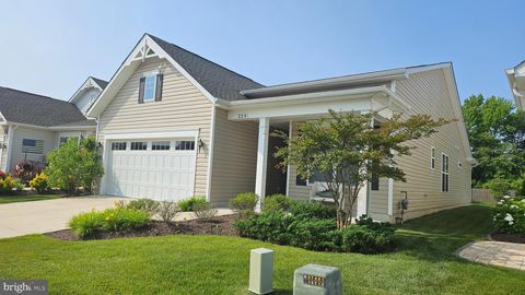 224 BAYBERRY DRIVE CHESTER MD 21619