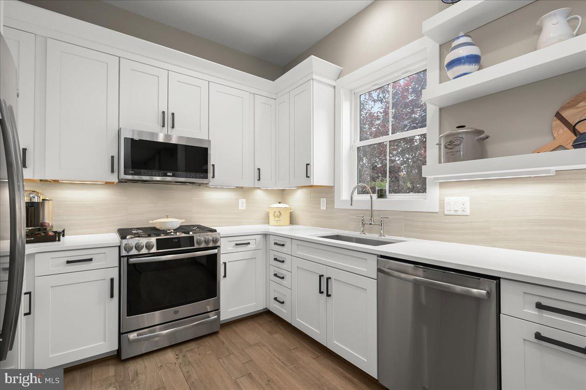 THE RIDINGS AT NORTH BRANCH - Residential