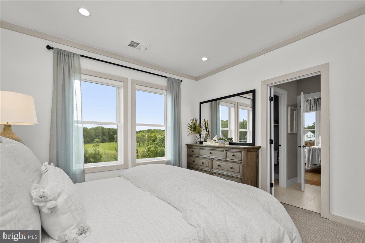 THE RIDINGS AT NORTH BRANCH - Residential