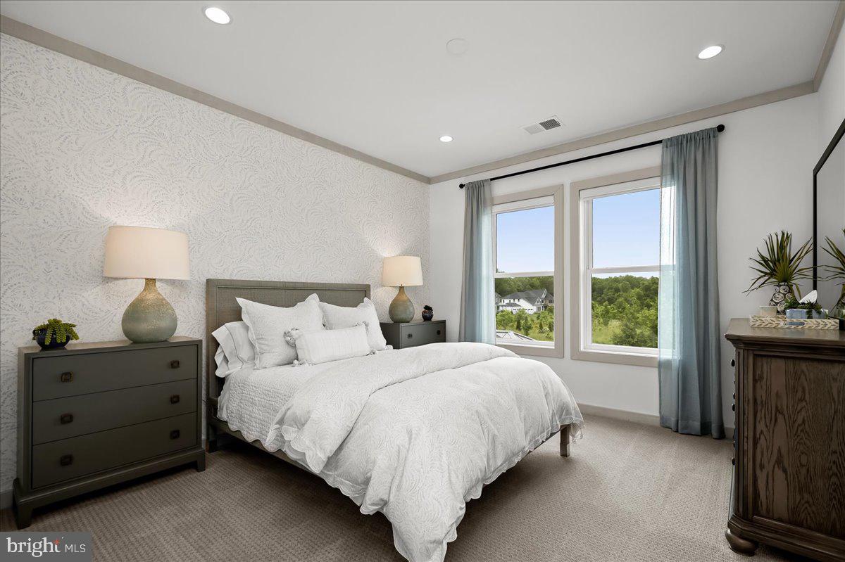 THE RIDINGS AT NORTH BRANCH - Residential