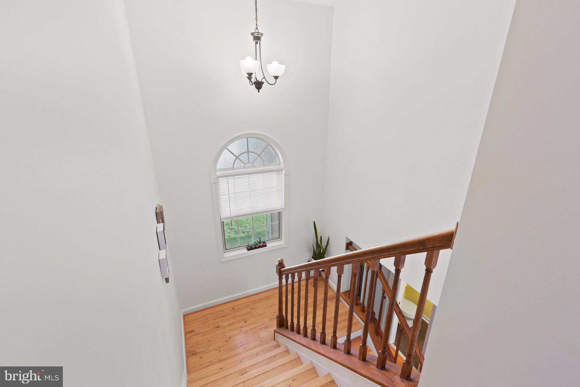 CEDAR COVE - Residential