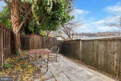 listing image 40
