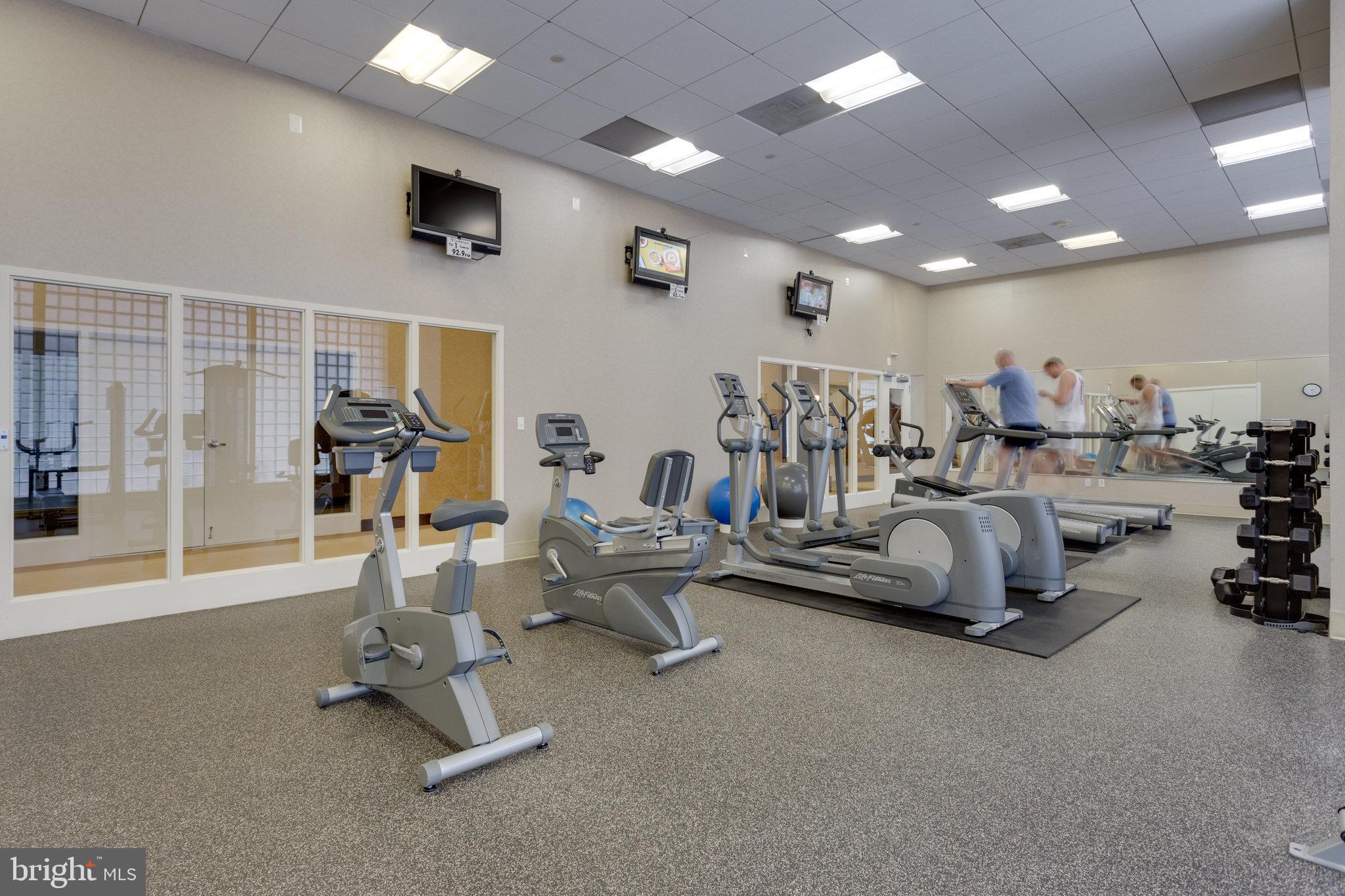 CLARENDON - Residential Lease