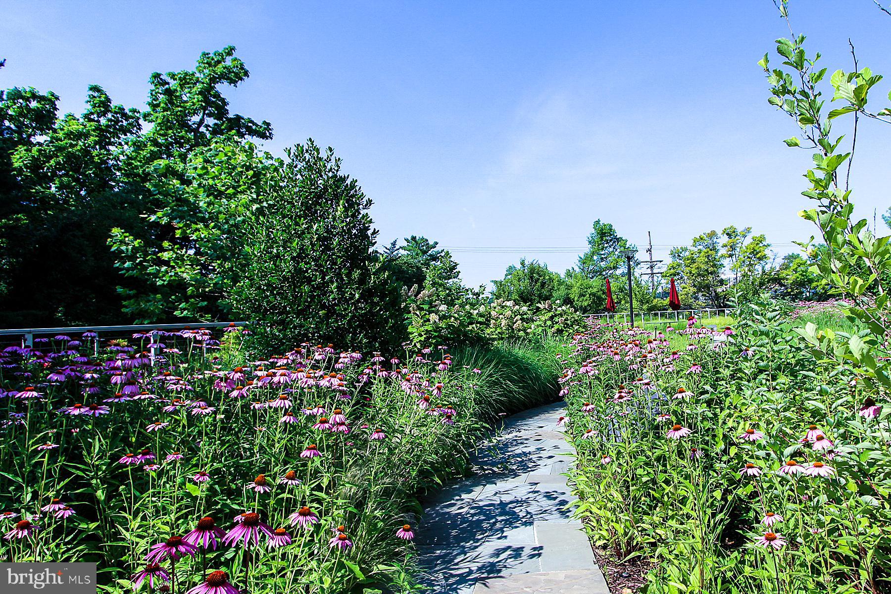 KENWOOD - Residential