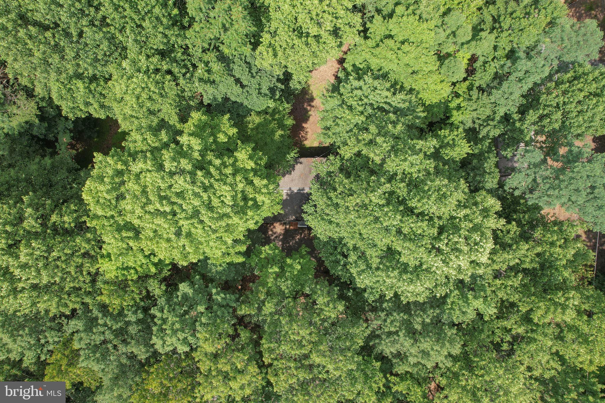 THE WOODS - Residential