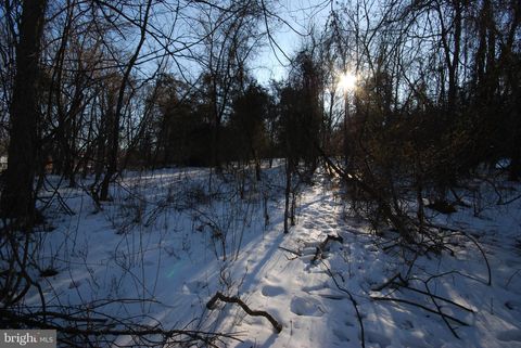 Vacant Land For Sale - LOT 141A & 154A Wild Dogwood Lane<br/> Jefferson County, HARPERS FERRY, WV 25425