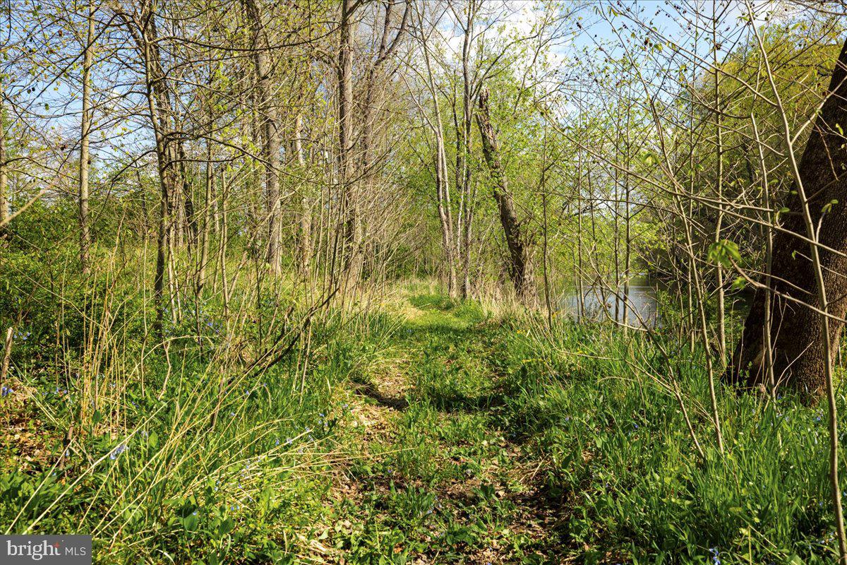 FARMS OF THE RIVER - Residential