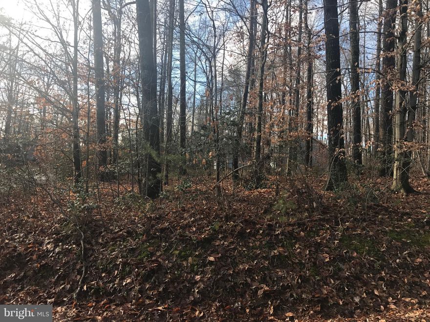 Location! Location! Location! Just a hop, skip and jump to the water's edge and walking distance to Harper's Ferry Beach and the marina! What more could you ask for, let's get this lake life started! You will love calling Lake of the Woods home.  A private, gated, secured community, Lake of the Woods offers anything and everything you could possibly want. Home to two lakes (the 550 acre main lake and a 35 acre "fishing lake"), a golf course, an equestrian center, a fire and rescue department, and a church all within the gates, Lake of the Woods simply has it all. Whether your passion is boating, waterskiing, kayaking, golfing, horseback riding, or simply taking in the breathtaking views from the clubhouse while enjoying a fabulous meal, from your own deck or yard, or from one of the beaches, you won't be disappointed! Perhaps you'd like a game of bridge or volunteering your time and talents...Lake of the Woods offers more than 60 clubs and/or organizations from which you may choose to become involved. Located in Orange County, we are fortunate to enjoy low real estate taxes. Coupled with home prices ranging from $100,000 to over $2,000,000, Lake of the Woods is the perfect community for both full-time residents, as well as weekenders. But don't take my word for it, please come see for yourself! I will gladly give you a tour of Lake of the Woods by boat and by car so that you may experience why I love Lake of the Woods!