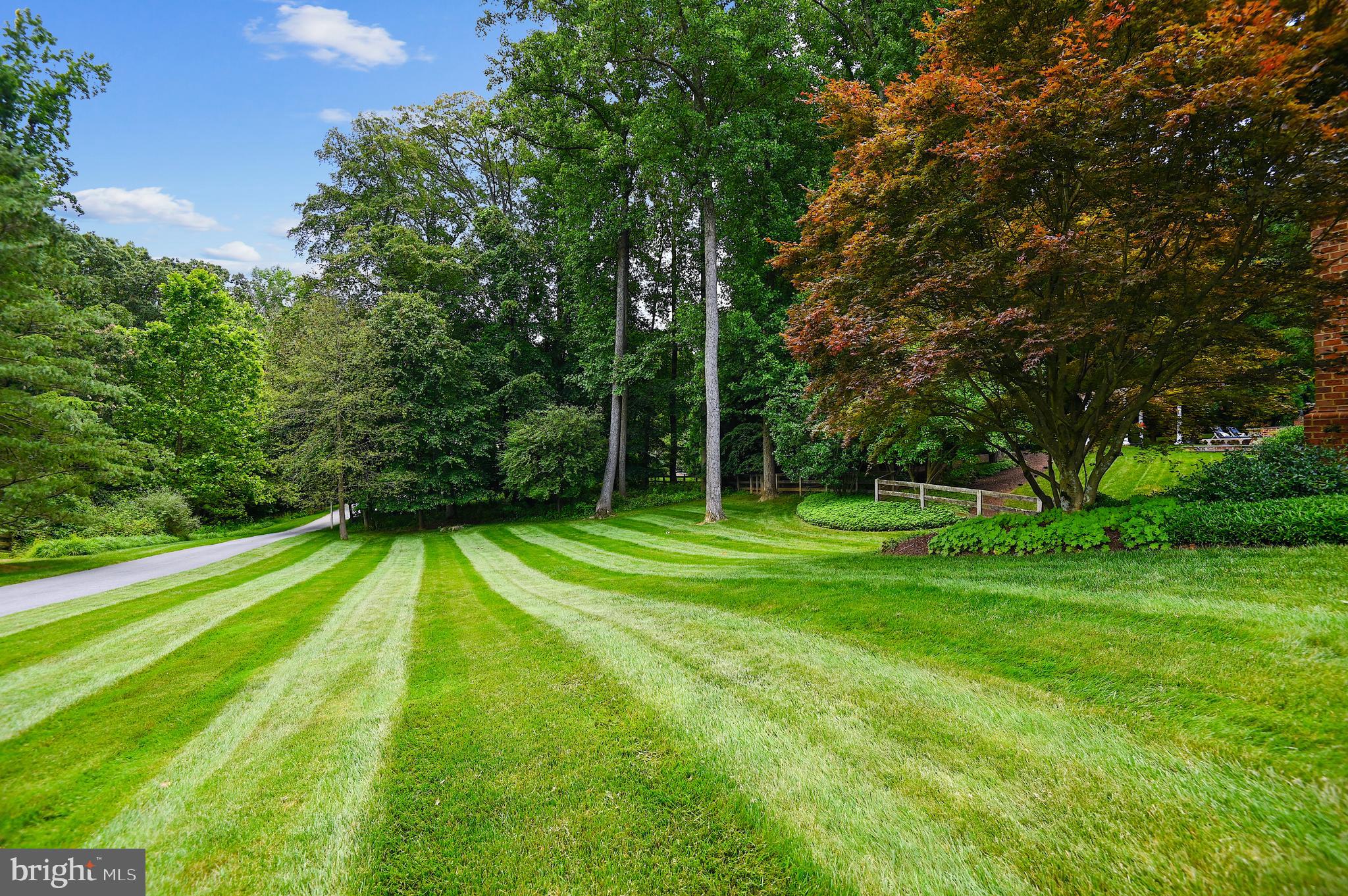 IVEY TRACE - Residential