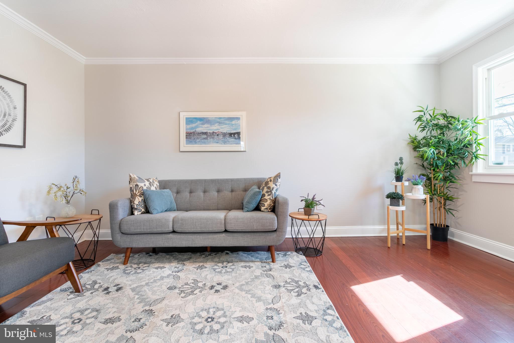 PALMER PARK - Residential