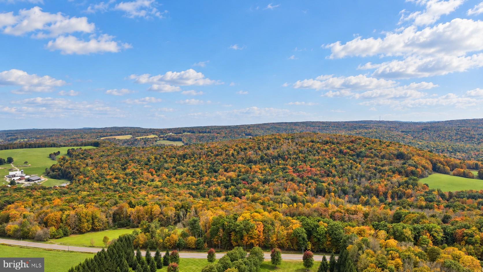 163.12 Acres BITTINGER ROAD