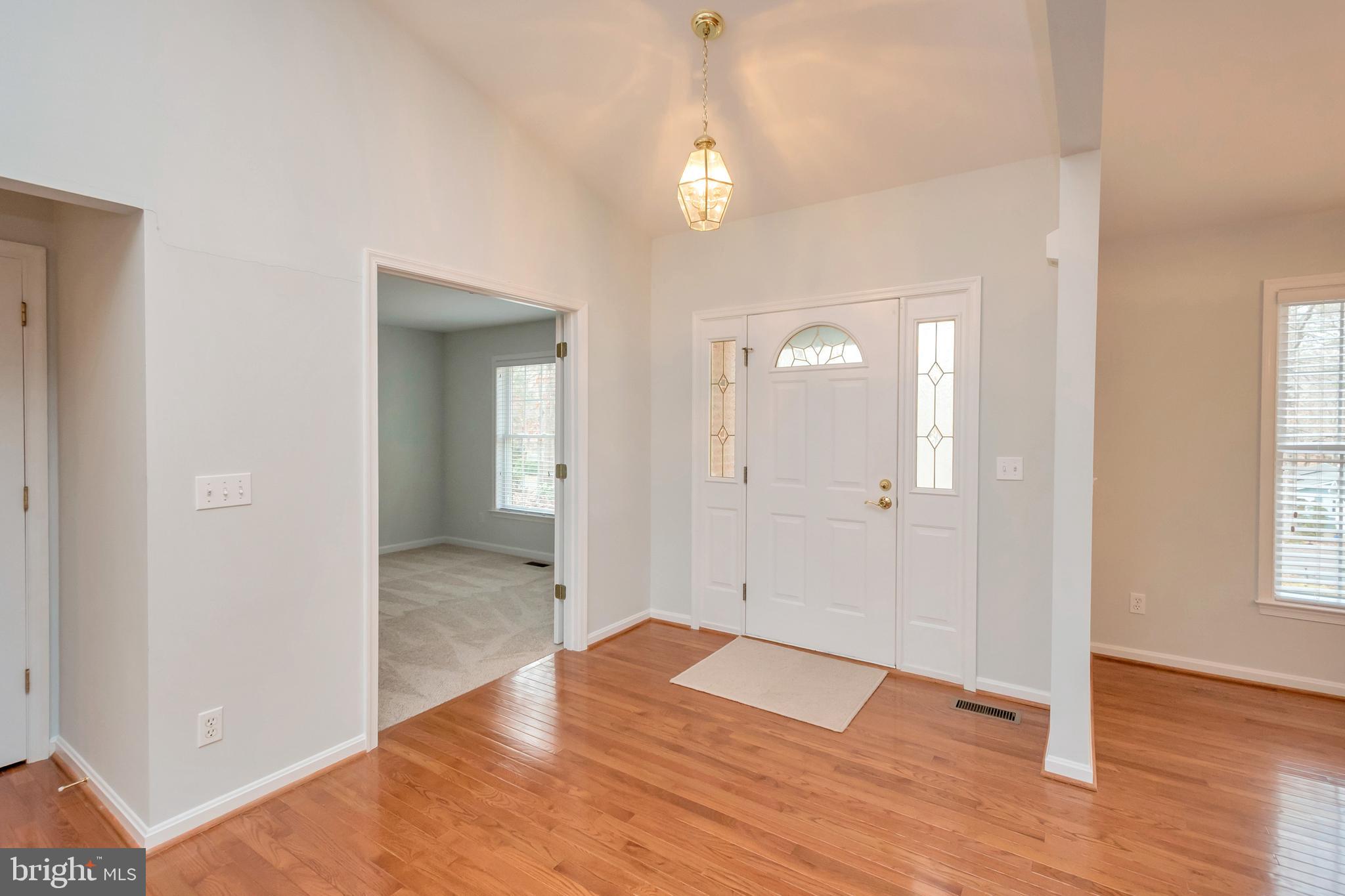 LAKE OF THE WOODS - Residential