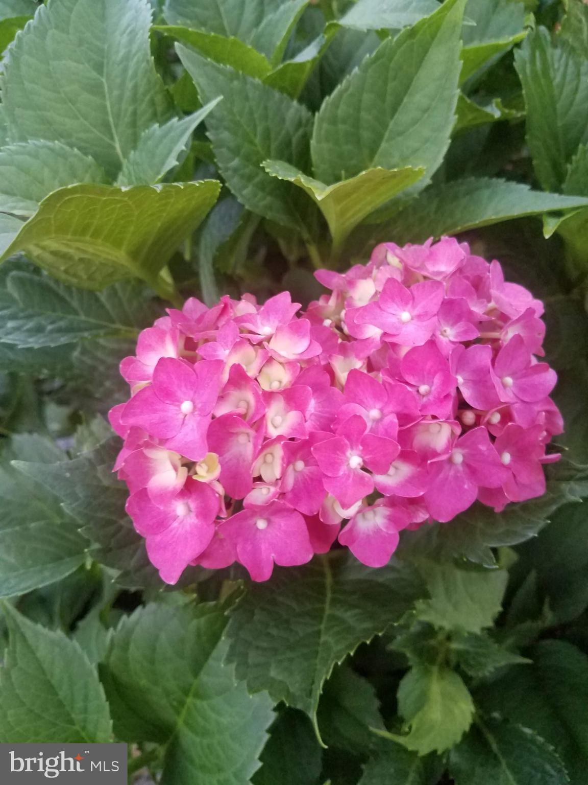 VILLA CRESTA - Residential