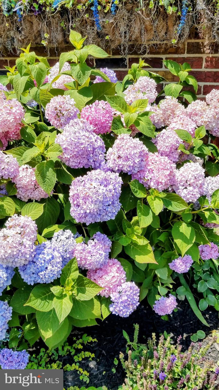 VILLA CRESTA - Residential