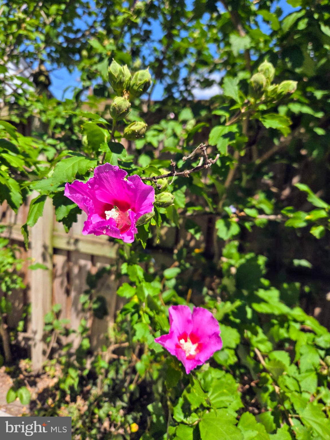 VILLA CRESTA - Residential