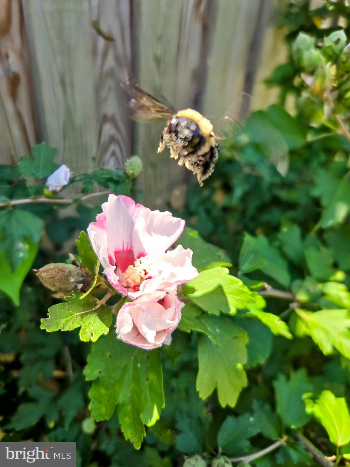 VILLA CRESTA - Residential