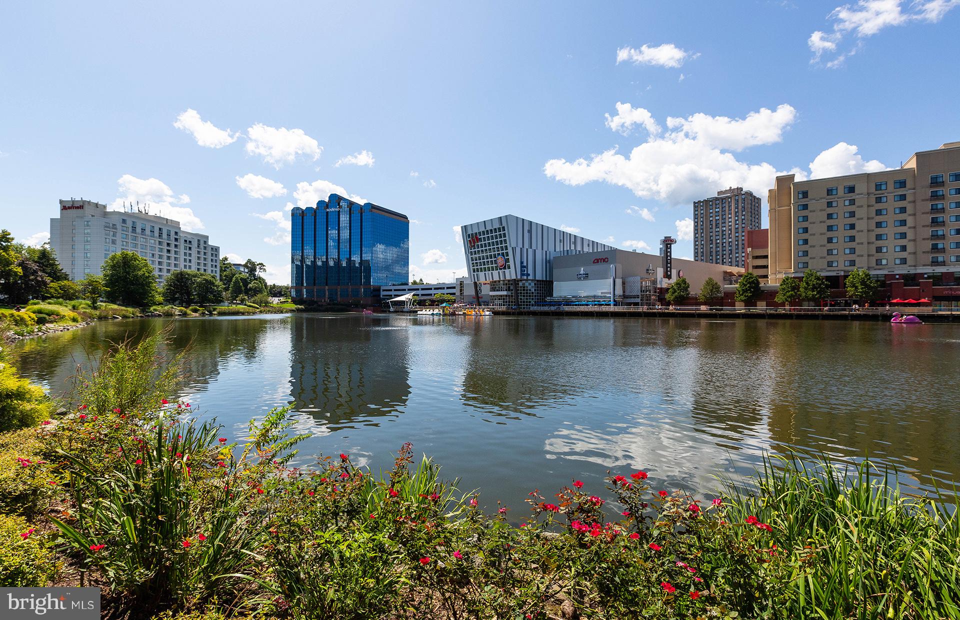 KING FARM - Residential