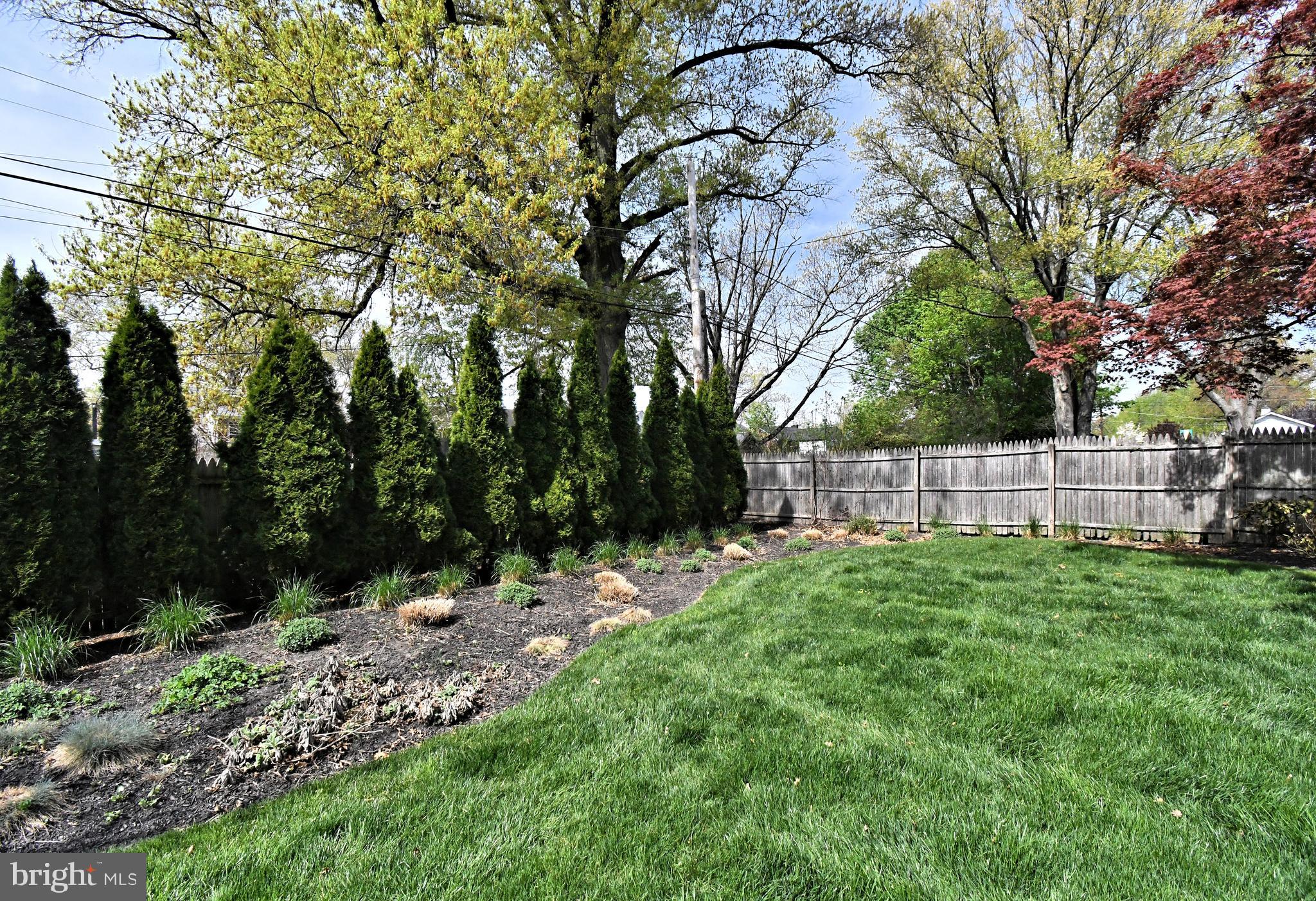 COLESTON - Residential