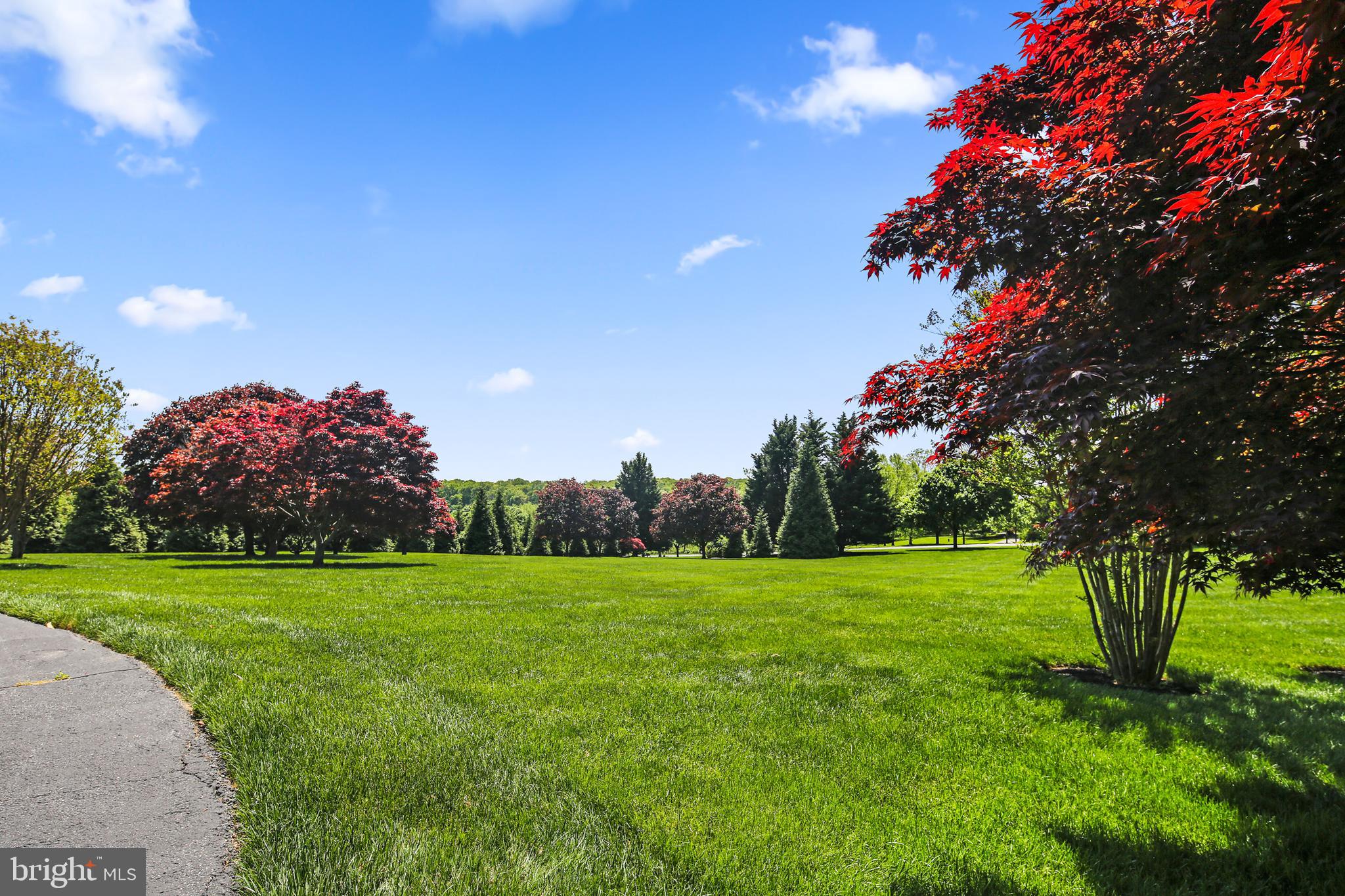 BRIERLY - Residential