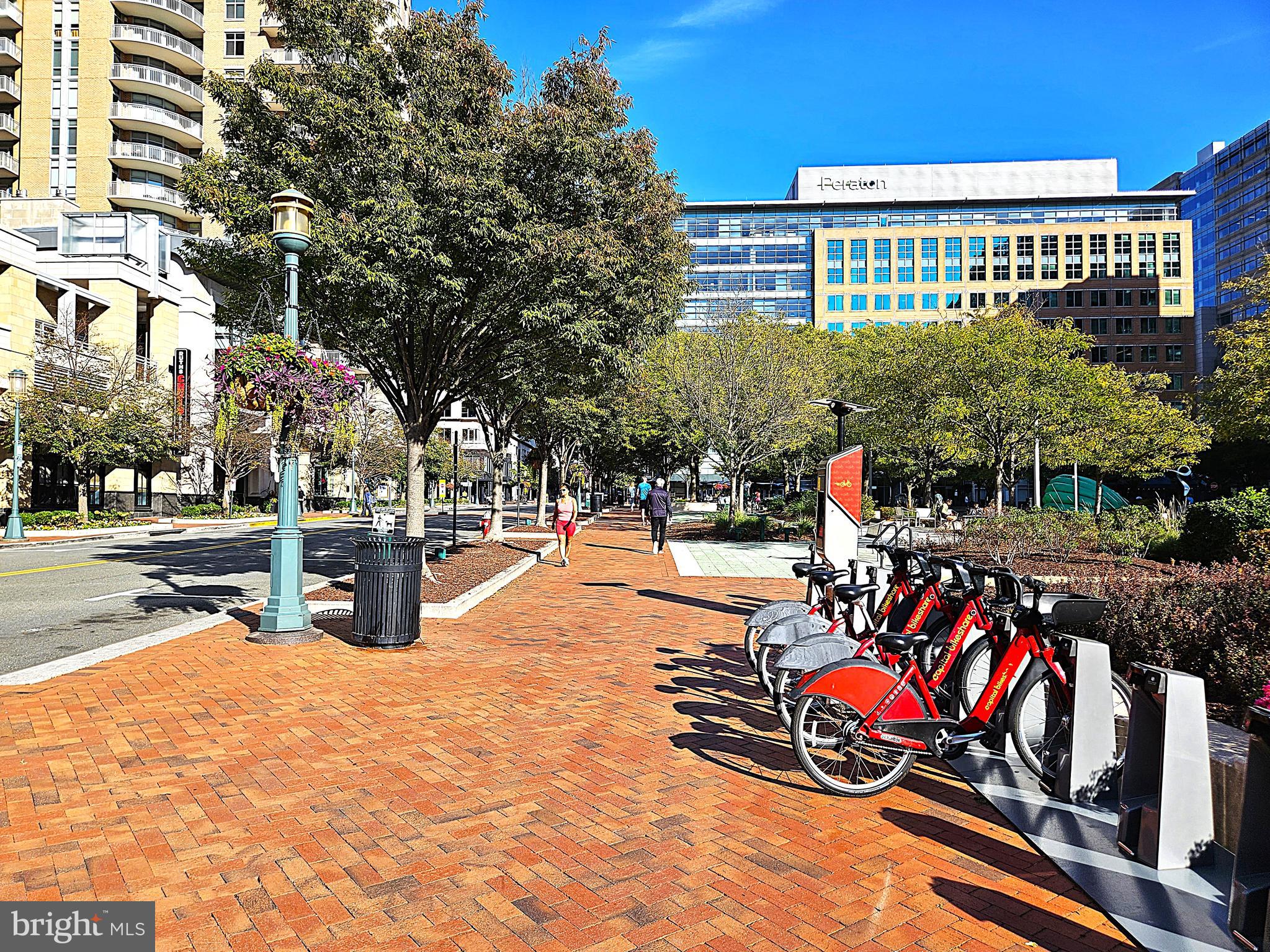 SAVOY AT RESTON TOWN CENTER - Residential