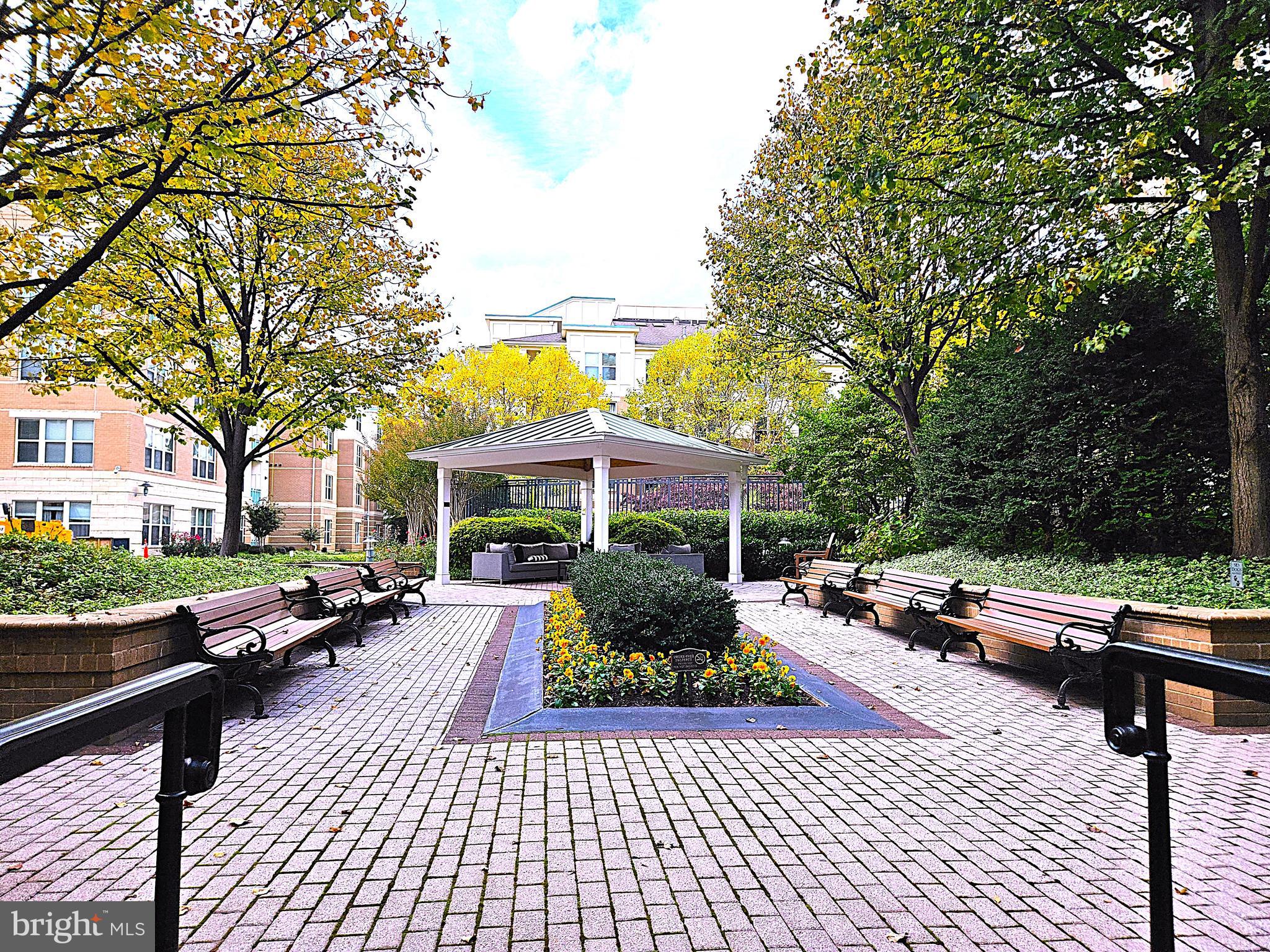 SAVOY AT RESTON TOWN CENTER - Residential