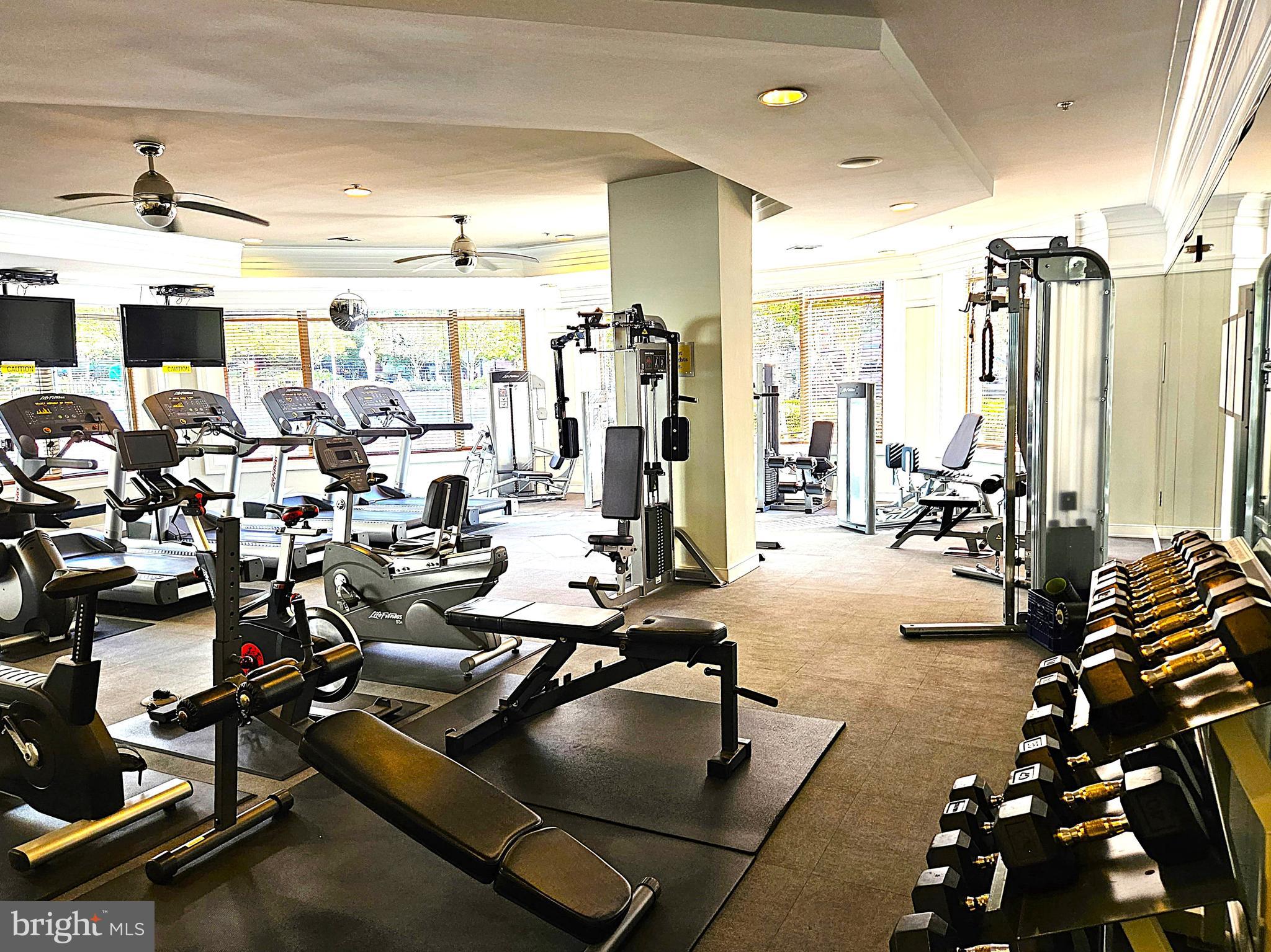 SAVOY AT RESTON TOWN CENTER - Residential