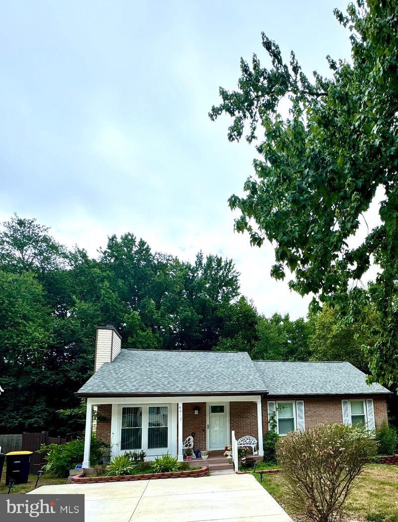 PINE TREE - Residential