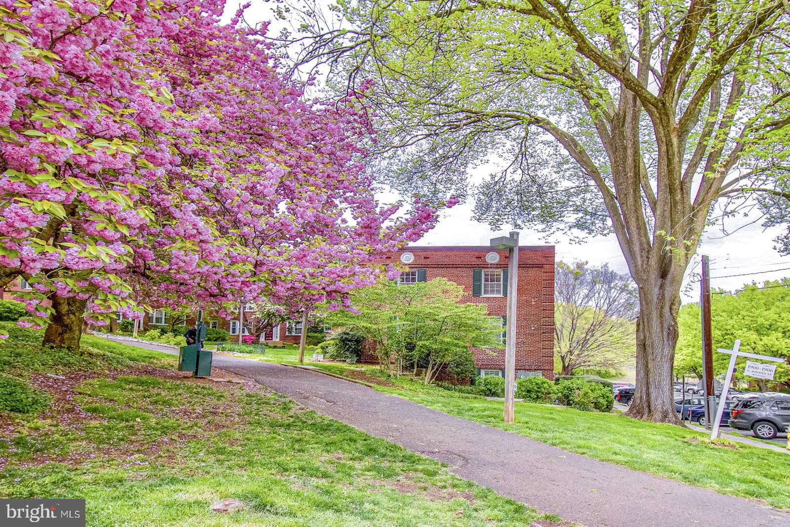 COLONIAL VILLAGE - Residential Lease