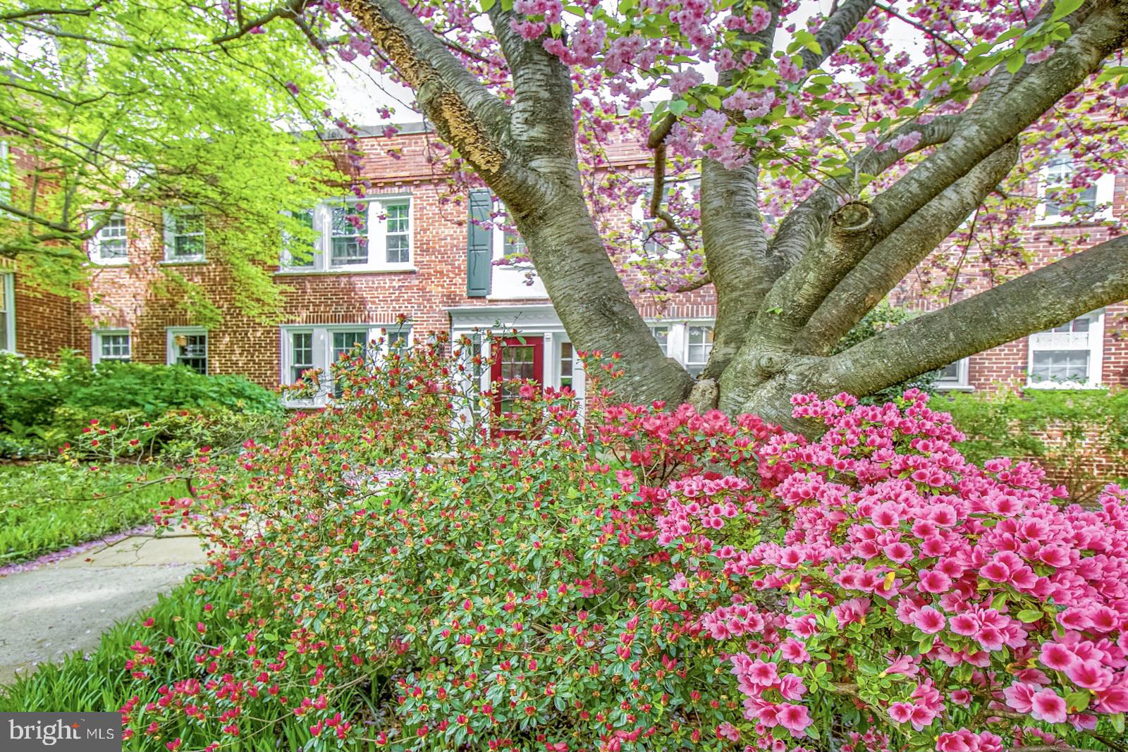 COLONIAL VILLAGE - Residential Lease