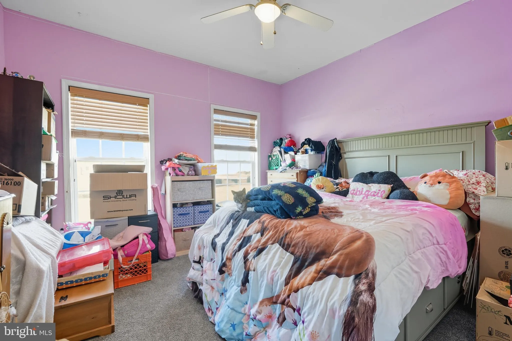 Newark, Delaware 19702, United States, 4 Bedrooms Bedrooms, ,4 BathroomsBathrooms,Residential,Coming Soon,206558