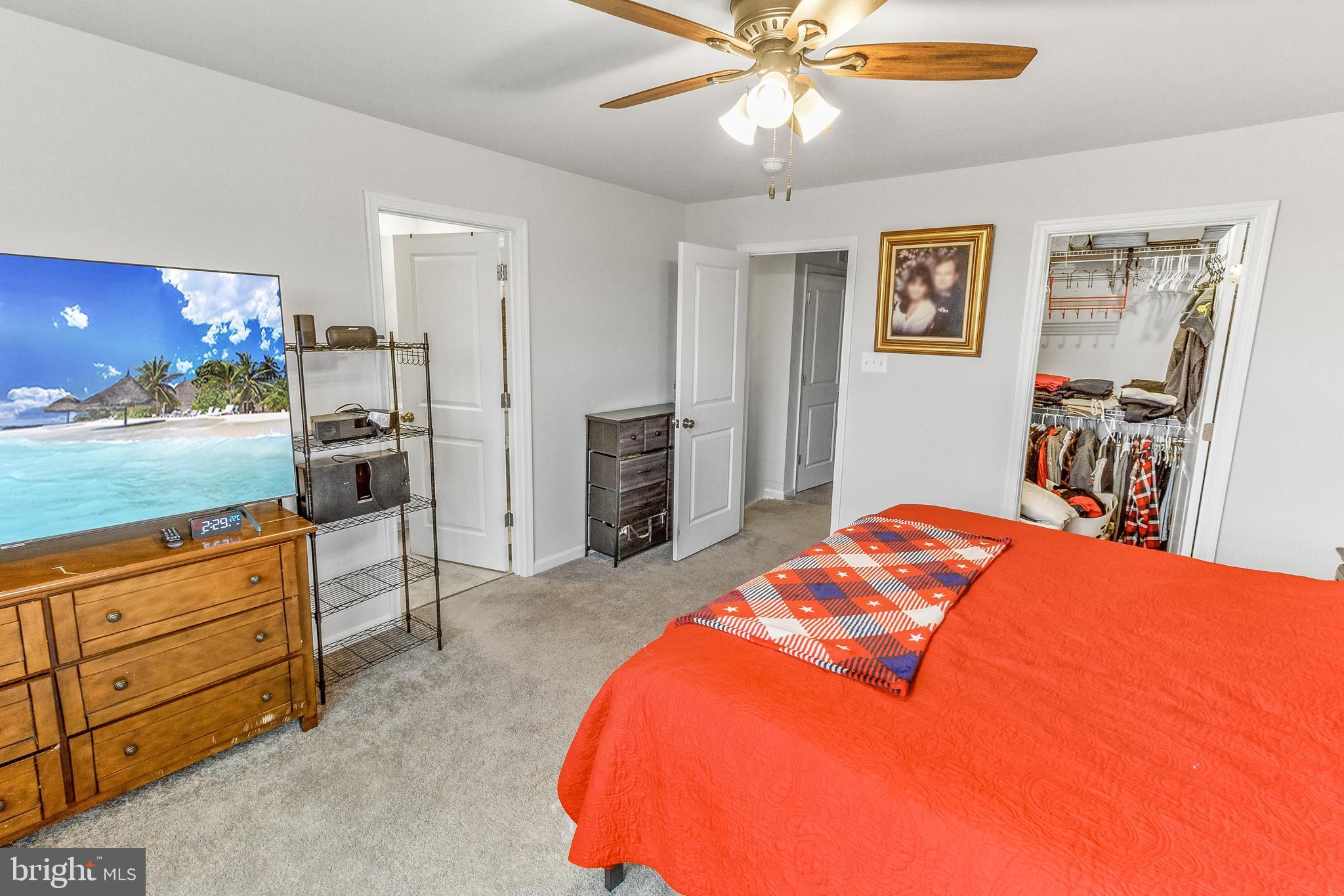 NORBORNE GLEBE - Residential