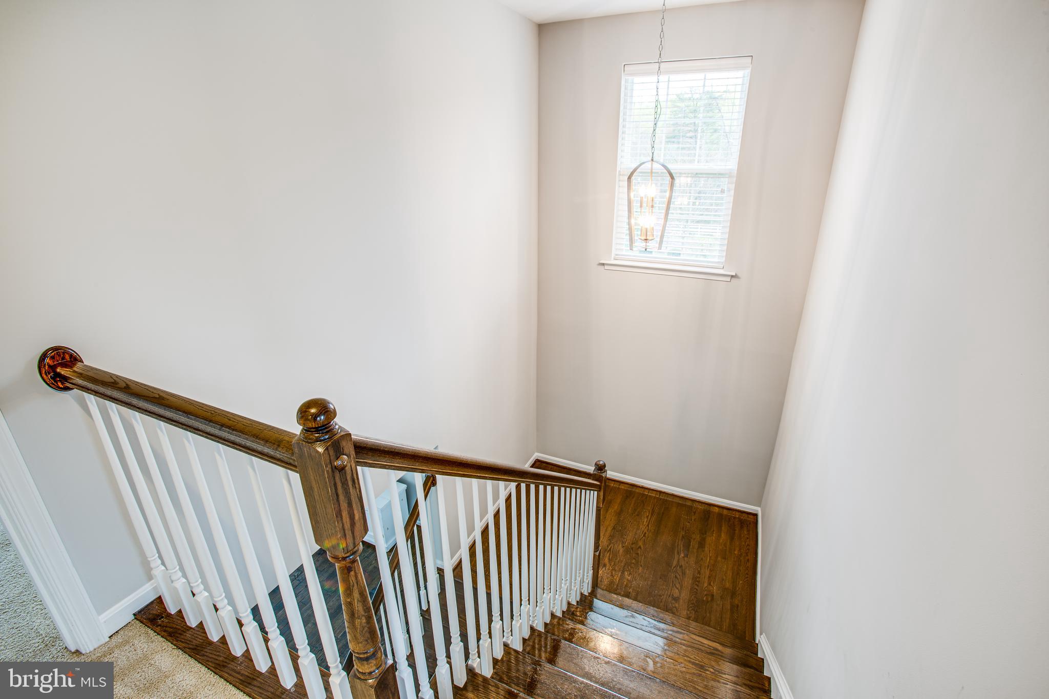 SHELTON WOODS - Residential