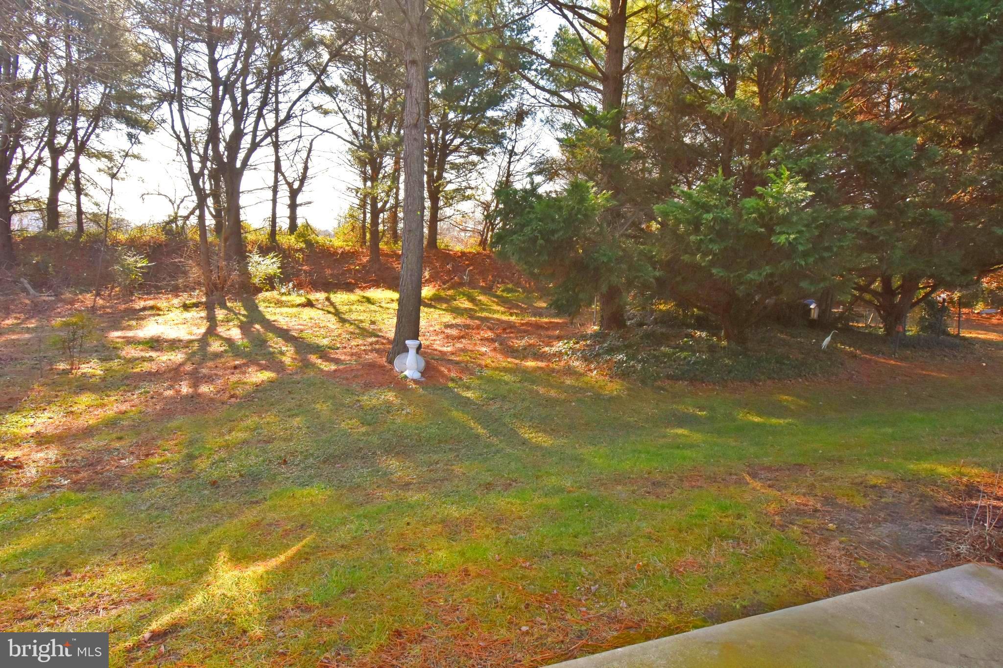 AVALON RETIREMENT COMM - Residential