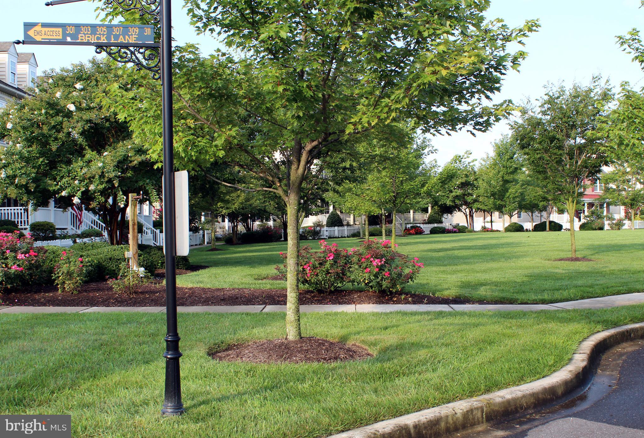 CANNERY VILLAGE - Residential