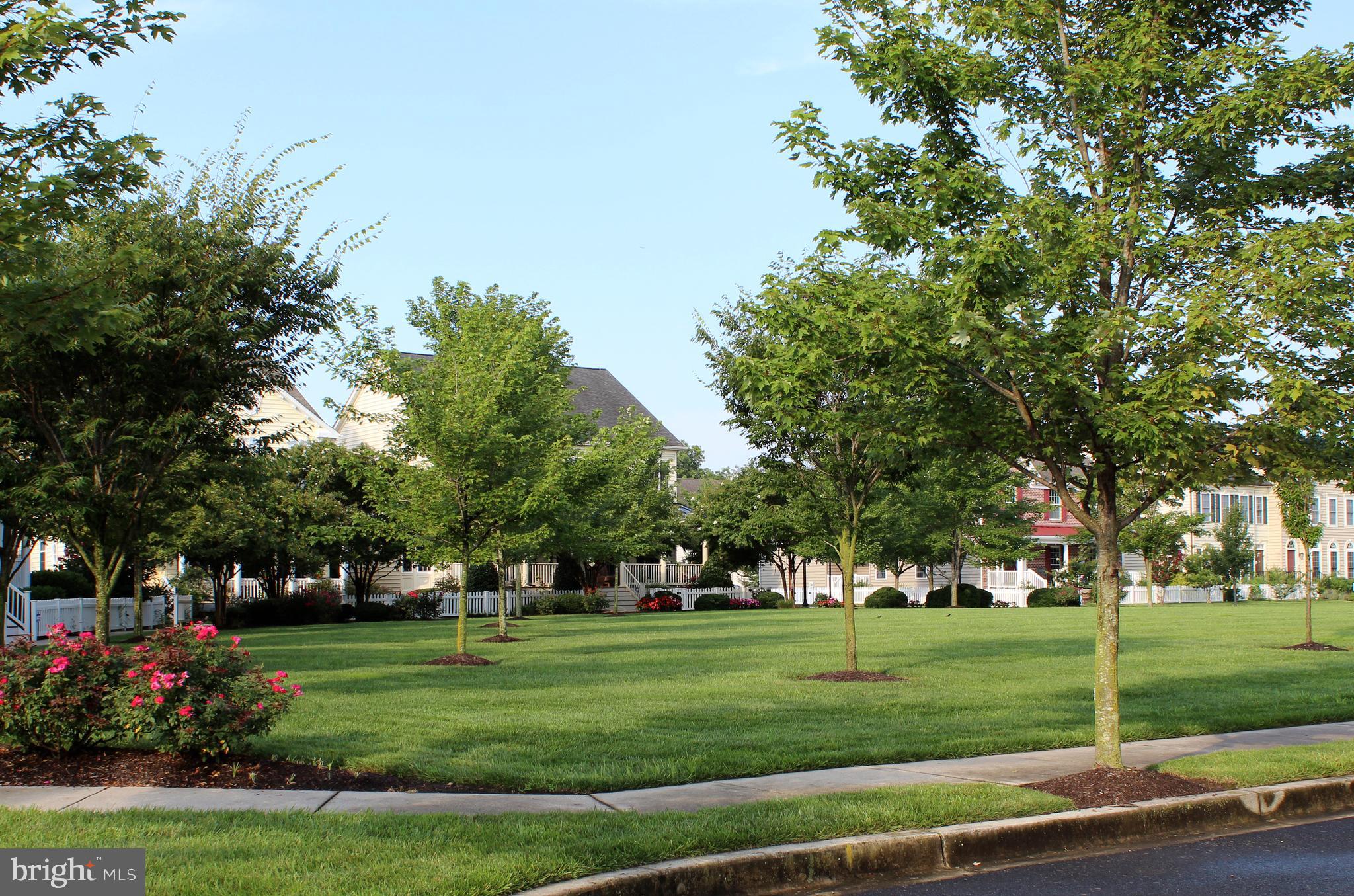 CANNERY VILLAGE - Residential