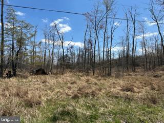 MT STORM, WV - BUILD YOUR NEW GETAWAY ON THIS 10.13 ACRES TRACT WITH TONS OF FRONTAGE ON CHERRY RIDGE ROAD. PARTIALLY WOODED. LEVEL TO GENTLY-GRADUAL SLOPED TOPOGRAPHY. PUBLIC WATER AND ELECTRIC ON SITE! UNRESTRICTED! PER TEST APPROVED. SHORT DRIVE TO CORRIDOR H (RT.48) AND MT STORM LAKE. VERY CLOSE PROXIMITY TO MOUNTAINTOP HUNT CLUB.
